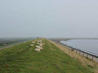 Vakantiepark Den Burg Omgeving 27