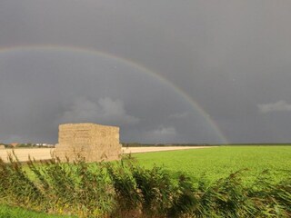 Parc de vacances Den Burg Environnement 23