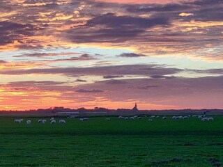 Parc de vacances Den Burg Environnement 24