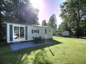 Holiday park Gepflegtes Chalet an der Veluwe - Hoenderloo - image1