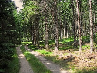 Casa de vacaciones Schönbach Entorno 27