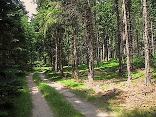Ferienhaus Schönbach Umgebung 31
