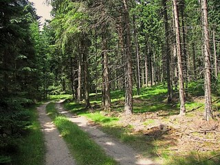 Casa per le vacanze Schönbach Ambiente 30
