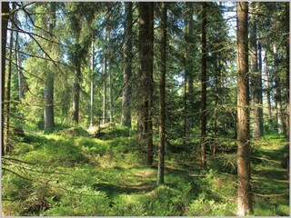 Casa per le vacanze Schönbach Ambiente 31