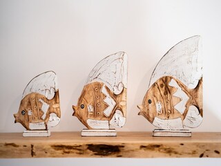 Villa Koksijde Kenmerken 25