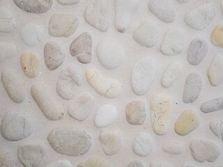 Appartamento Koksijde Caratteristiche 11