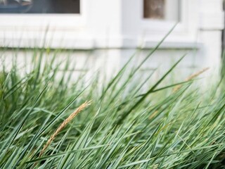 Villa Koksijde Buitenaudio-opname 1