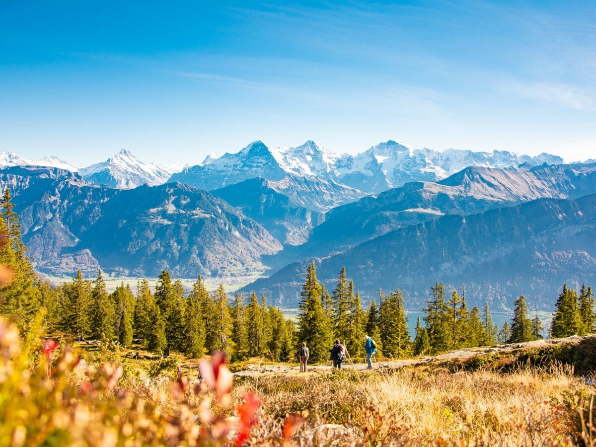 Ausflugsberg Niederhorn