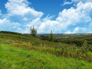 Casa per le vacanze Stavelot Ambiente 38
