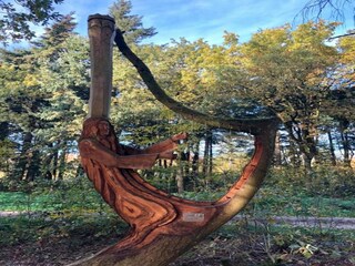 Parc de vacances Sint Nicolaasga Environnement 33