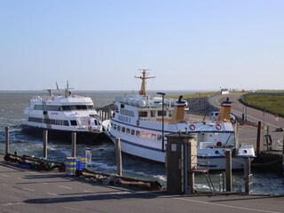 Hafen Strucklahnungshörn
