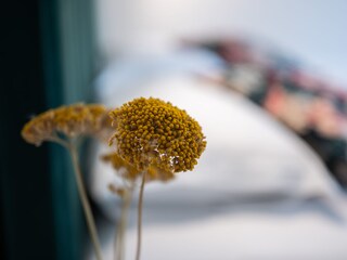 Casa per le vacanze Vir Caratteristiche 28