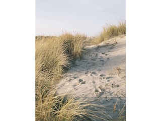 Dünen am Strand von St. Peter Ording