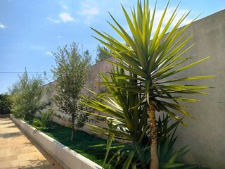 Casa per le vacanze Bogomolje Registrazione all'aperto 11