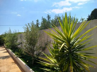 Casa per le vacanze Bogomolje Registrazione all'aperto 13