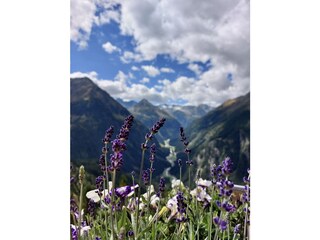 Blick auf den Stubaier Gletscher