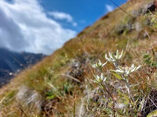 Appartamento Fulpmes Ambiente 33