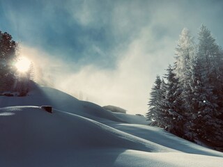 Appartamento Fulpmes Ambiente 38