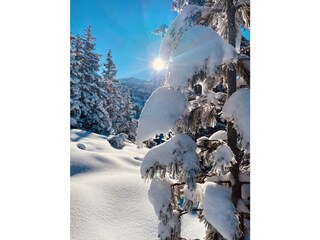 Appartamento Fulpmes Ambiente 39