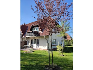 Ferienwohnung Zingst Außenaufnahme 3