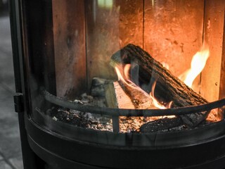 Ferienhaus Zingst Außenaufnahme 14