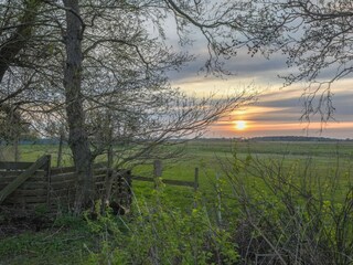 Ferienhaus Zingst Außenaufnahme 23