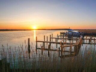Ferienhaus Zingst Außenaufnahme 24