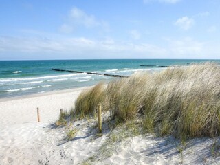 Ferienhaus Zingst Außenaufnahme 26