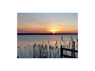 Ferienhaus Zingst Außenaufnahme 11