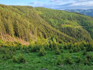 Chalet Turnau Ambiente 15