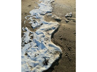 Maison de vacances Biggekerke Environnement 34