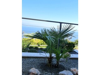 Small garden belonging to the flat