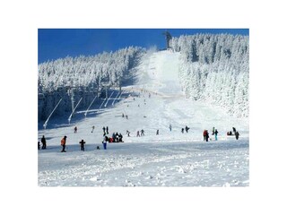 Appartement de vacances Braunlage Environnement 17