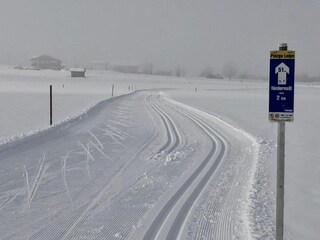 Apartamento Mittersill Entorno 25