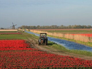 Casa per le vacanze Sint Maartenszee Ambiente 27