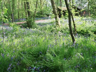 Casa per le vacanze Sint Maartenszee Ambiente 30