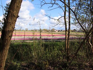 Casa per le vacanze Sint Maartenszee Ambiente 36