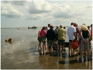 Casa per le vacanze Sint Maartenszee Ambiente 34