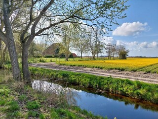 Casa per le vacanze Sint Maartenszee Ambiente 40