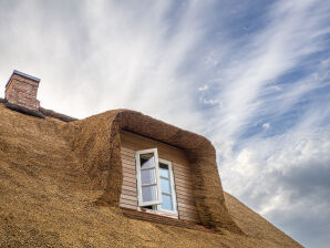 Ferienhaus Pellworm unter Reet