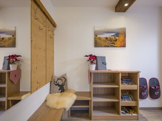 Appartamento per vacanze Hippach Caratteristiche 7