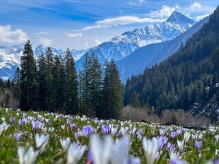 Apartamento de vacaciones Hippach Entorno 16