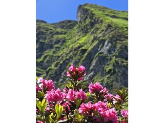 Apartamento de vacaciones Hippach Entorno 21