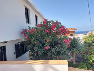 Apartment Ingenio Outdoor Recording 2