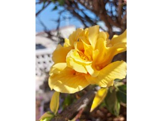 Appartement Ingenio Buitenaudio-opname 8