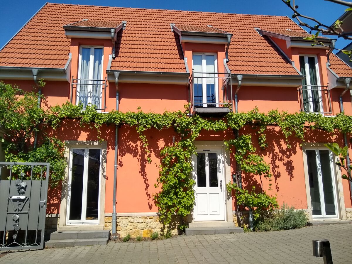 Blick vom Hof auf das Haus