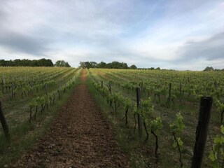 Vakantiehuis Monbazillac Omgeving 34