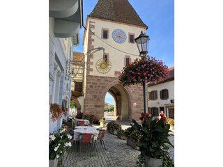 Apartamento de vacaciones Endingen am Kaiserstuhl Entorno 28