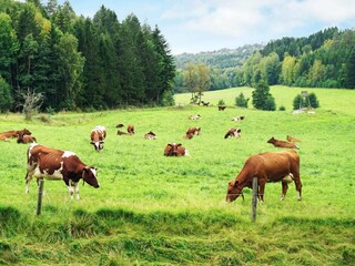 Holiday house Havstenssund  15