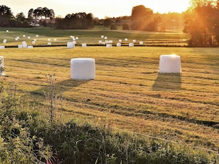 Ferienhaus Anderslöv  6